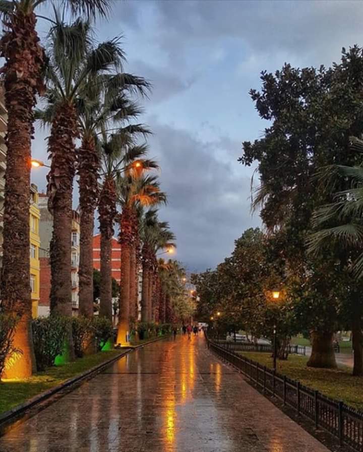 Sinop Denize Sıfır Pansiyon Seçenekleri