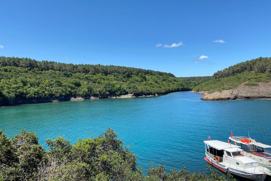 Hamsilos Koyu Sinop