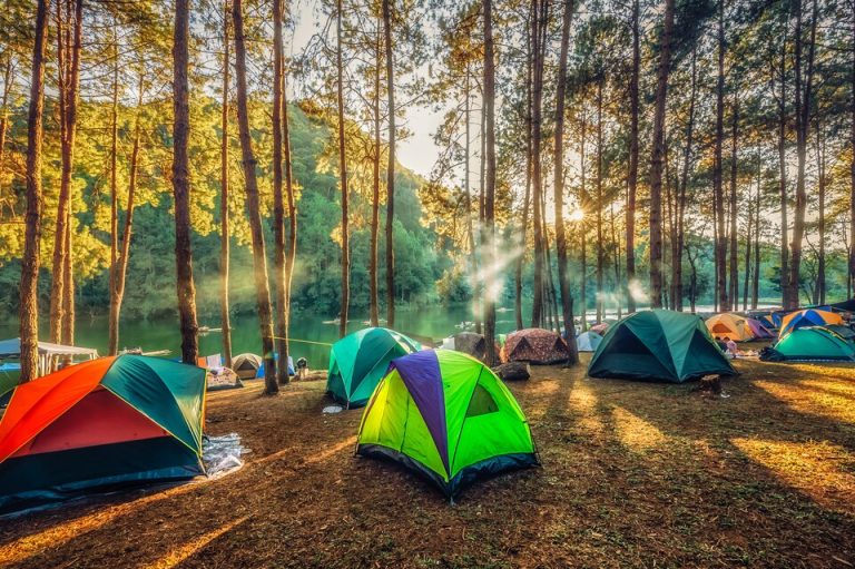 Sinop Kamp Alanları Rehberi: Çadır, Karavan, Bungalov ve Doğa Tatili Önerileri 2 Erfelek Tatlıca Şelaleleri Kamp Alanı