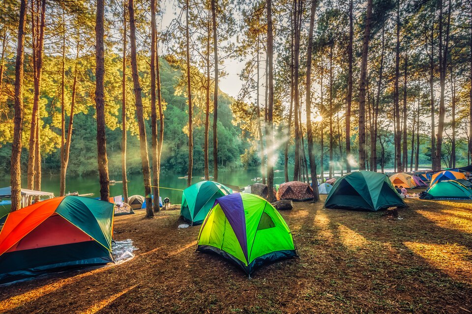 Erfelek Tatlıca Şelaleleri Kamp Alanı