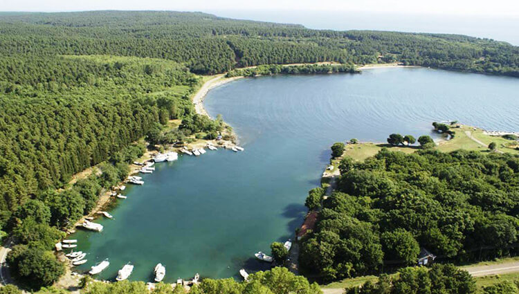Sinop Kamp Alanları